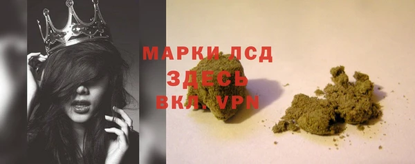 прущие грибы Арсеньев